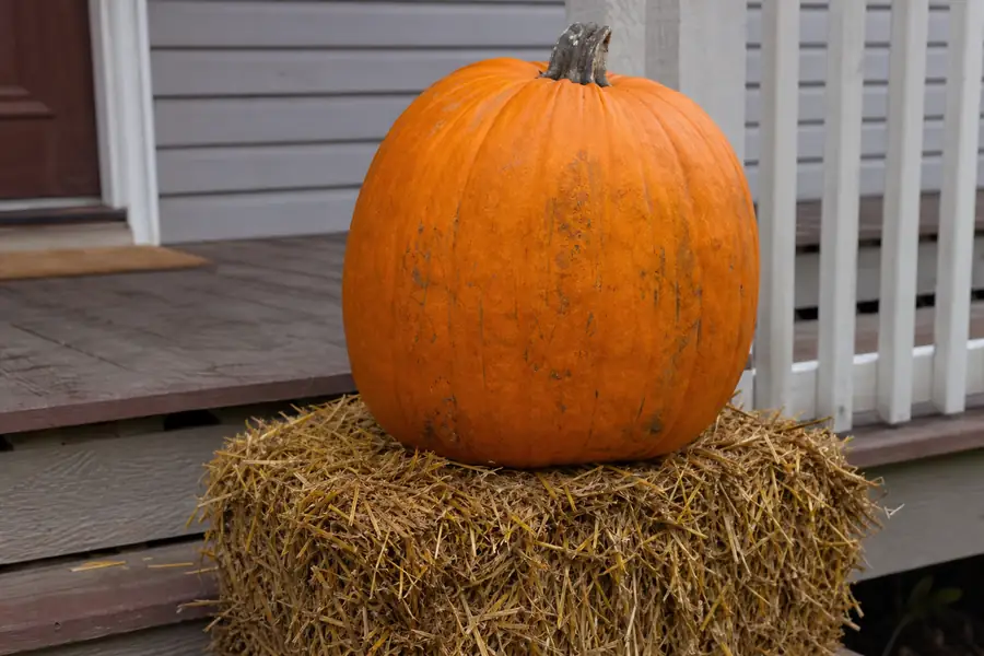 An oversized orange pumpkin sitting on a hay bale as a porch centerpiece in daylight
