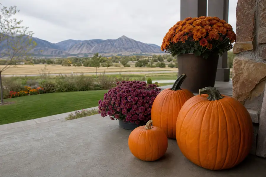 Pumpkins and mums staged on a Longmont porch with the Front Range foothills behind