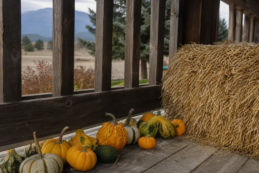 Mini pumpkins and gourds tucked along a porch railing beside a hay bale on a Colorado farm